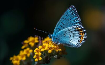 Secercah Hening, Jumat, 13 September 2024