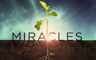 SECERCAH HENING Rabu, 19 Februari 2025